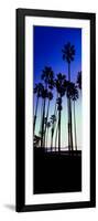 Palm Trees Silhouette at Sunrise, Santa Barbara, California, USA-null-Framed Photographic Print