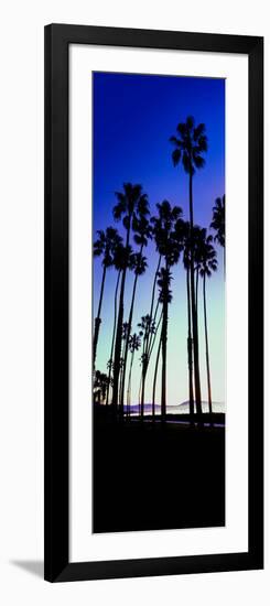 Palm Trees Silhouette at Sunrise, Santa Barbara, California, USA-null-Framed Photographic Print