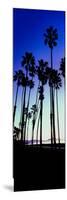Palm Trees Silhouette at Sunrise, Santa Barbara, California, USA-null-Mounted Photographic Print