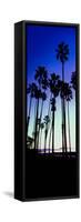 Palm Trees Silhouette at Sunrise, Santa Barbara, California, USA-null-Framed Stretched Canvas