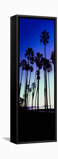 Palm Trees Silhouette at Sunrise, Santa Barbara, California, USA-null-Framed Stretched Canvas