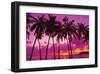 Palm Trees Silhouette Thailand-null-Framed Art Print