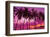 Palm Trees Silhouette Thailand-null-Framed Art Print