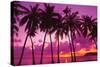 Palm Trees Silhouette Thailand-null-Stretched Canvas