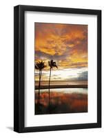 Palm trees silhouetted against red clouds during sunset over a beach at Flic en Flac-Stuart Forster-Framed Photographic Print