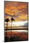 Palm trees silhouetted against red clouds during sunset over a beach at Flic en Flac-Stuart Forster-Mounted Photographic Print