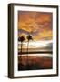 Palm trees silhouetted against red clouds during sunset over a beach at Flic en Flac-Stuart Forster-Framed Photographic Print