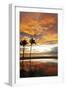 Palm trees silhouetted against red clouds during sunset over a beach at Flic en Flac-Stuart Forster-Framed Photographic Print