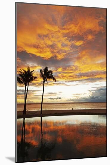 Palm trees silhouetted against red clouds during sunset over a beach at Flic en Flac-Stuart Forster-Mounted Photographic Print