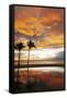 Palm trees silhouetted against red clouds during sunset over a beach at Flic en Flac-Stuart Forster-Framed Stretched Canvas