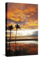 Palm trees silhouetted against red clouds during sunset over a beach at Flic en Flac-Stuart Forster-Stretched Canvas