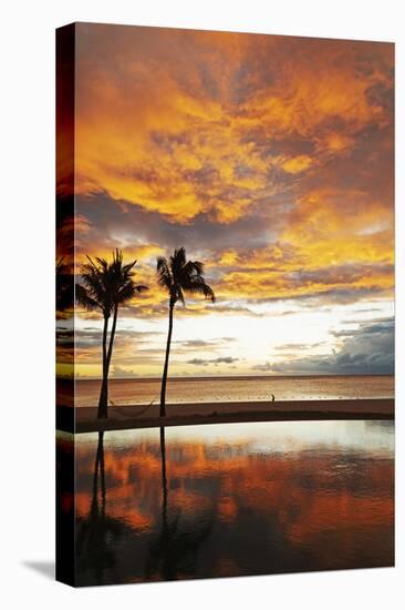 Palm trees silhouetted against red clouds during sunset over a beach at Flic en Flac-Stuart Forster-Stretched Canvas