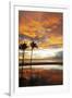 Palm trees silhouetted against red clouds during sunset over a beach at Flic en Flac-Stuart Forster-Framed Photographic Print