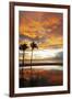 Palm trees silhouetted against red clouds during sunset over a beach at Flic en Flac-Stuart Forster-Framed Photographic Print