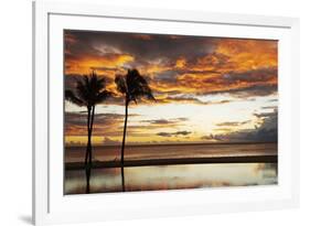 Palm trees silhouetted against red clouds during sunset over a beach at Flic en Flac-Stuart Forster-Framed Photographic Print