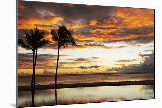 Palm trees silhouetted against red clouds during sunset over a beach at Flic en Flac-Stuart Forster-Mounted Photographic Print