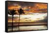 Palm trees silhouetted against red clouds during sunset over a beach at Flic en Flac-Stuart Forster-Framed Stretched Canvas