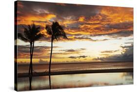 Palm trees silhouetted against red clouds during sunset over a beach at Flic en Flac-Stuart Forster-Stretched Canvas