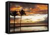 Palm trees silhouetted against red clouds during sunset over a beach at Flic en Flac-Stuart Forster-Framed Stretched Canvas