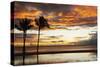 Palm trees silhouetted against red clouds during sunset over a beach at Flic en Flac-Stuart Forster-Stretched Canvas