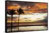 Palm trees silhouetted against red clouds during sunset over a beach at Flic en Flac-Stuart Forster-Framed Stretched Canvas