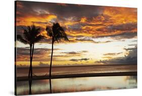 Palm trees silhouetted against red clouds during sunset over a beach at Flic en Flac-Stuart Forster-Stretched Canvas