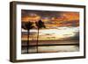 Palm trees silhouetted against red clouds during sunset over a beach at Flic en Flac-Stuart Forster-Framed Photographic Print