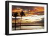 Palm trees silhouetted against red clouds during sunset over a beach at Flic en Flac-Stuart Forster-Framed Photographic Print