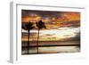 Palm trees silhouetted against red clouds during sunset over a beach at Flic en Flac-Stuart Forster-Framed Photographic Print