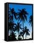 Palm Trees Silhouetted at Night, Sengiggi Beach, Lombok, Indonesia, Southeast Asia, Asia-Matthew Williams-Ellis-Framed Stretched Canvas