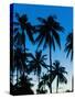 Palm Trees Silhouetted at Night, Sengiggi Beach, Lombok, Indonesia, Southeast Asia, Asia-Matthew Williams-Ellis-Stretched Canvas