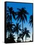 Palm Trees Silhouetted at Night, Sengiggi Beach, Lombok, Indonesia, Southeast Asia, Asia-Matthew Williams-Ellis-Framed Stretched Canvas