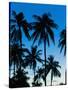 Palm Trees Silhouetted at Night, Sengiggi Beach, Lombok, Indonesia, Southeast Asia, Asia-Matthew Williams-Ellis-Stretched Canvas