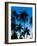 Palm Trees Silhouetted at Night, Sengiggi Beach, Lombok, Indonesia, Southeast Asia, Asia-Matthew Williams-Ellis-Framed Photographic Print