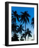 Palm Trees Silhouetted at Night, Sengiggi Beach, Lombok, Indonesia, Southeast Asia, Asia-Matthew Williams-Ellis-Framed Photographic Print