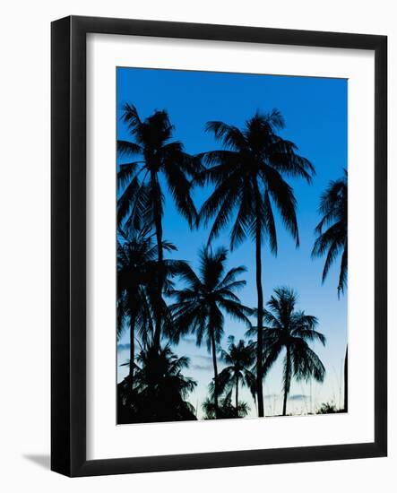 Palm Trees Silhouetted at Night, Sengiggi Beach, Lombok, Indonesia, Southeast Asia, Asia-Matthew Williams-Ellis-Framed Photographic Print