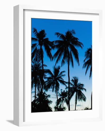 Palm Trees Silhouetted at Night, Sengiggi Beach, Lombok, Indonesia, Southeast Asia, Asia-Matthew Williams-Ellis-Framed Photographic Print
