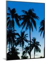 Palm Trees Silhouetted at Night, Sengiggi Beach, Lombok, Indonesia, Southeast Asia, Asia-Matthew Williams-Ellis-Mounted Photographic Print