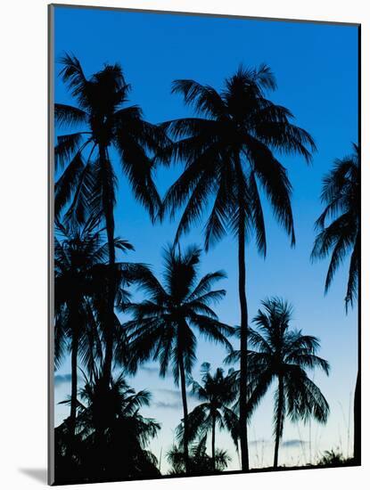 Palm Trees Silhouetted at Night, Sengiggi Beach, Lombok, Indonesia, Southeast Asia, Asia-Matthew Williams-Ellis-Mounted Photographic Print