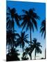 Palm Trees Silhouetted at Night, Sengiggi Beach, Lombok, Indonesia, Southeast Asia, Asia-Matthew Williams-Ellis-Mounted Photographic Print