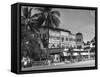 Palm Trees Surrounding the Raffles Hotel-Carl Mydans-Framed Stretched Canvas