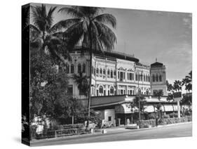 Palm Trees Surrounding the Raffles Hotel-Carl Mydans-Stretched Canvas