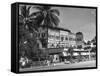 Palm Trees Surrounding the Raffles Hotel-Carl Mydans-Framed Stretched Canvas