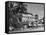 Palm Trees Surrounding the Raffles Hotel-Carl Mydans-Framed Stretched Canvas