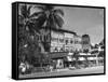 Palm Trees Surrounding the Raffles Hotel-Carl Mydans-Framed Stretched Canvas