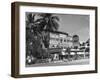 Palm Trees Surrounding the Raffles Hotel-Carl Mydans-Framed Premium Photographic Print