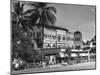 Palm Trees Surrounding the Raffles Hotel-Carl Mydans-Mounted Premium Photographic Print