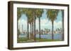 Palm Trees, Tampa, Florida-null-Framed Art Print