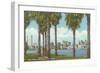 Palm Trees, Tampa, Florida-null-Framed Art Print