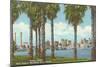 Palm Trees, Tampa, Florida-null-Mounted Art Print